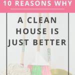 No-one wants to come home to a chaotic messy house at the end of a long day. If you need some inspiration or motivation to get started cleaning, click to see ten reasons why a clean house is just better. via leisurelydoesit.com