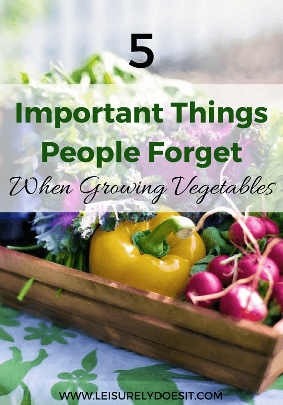 Growing your own vegetables has a ton of advantages. But, before you start a garden at home, consider these five important things people often forget.