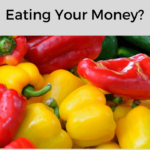 Do you feel as though you are blowing your budget on food every month? Follow these tips to save on groceries and stop eating all of your money.