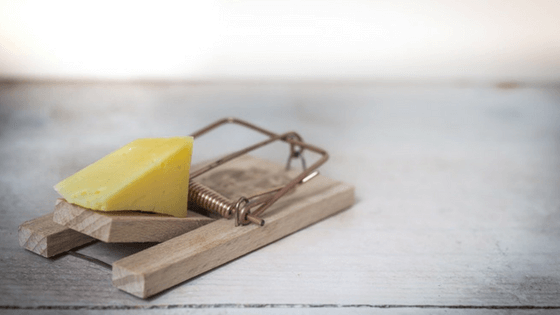 Mouse trap with cheese—If you need to get motivated to clean, think about the threat of pests invading your home.