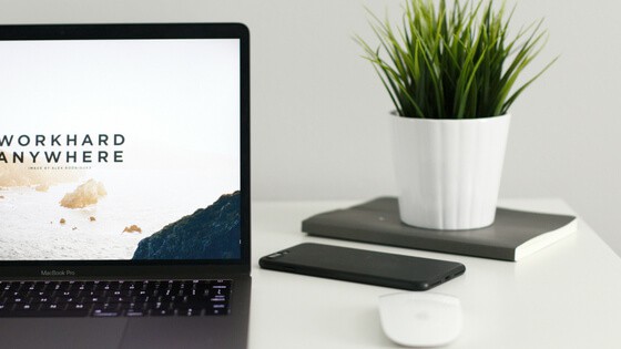 Laptop and plant on a desk.