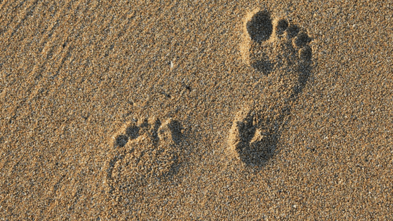 Footprints in the sand.