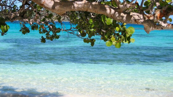 Enjoy one of the white or golden sand beaches on your trip to Barbados.