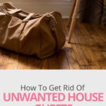 How to get rid of unwanted house guests