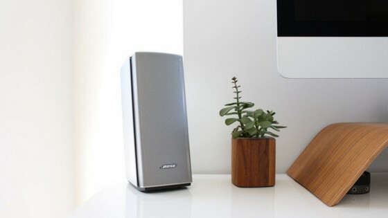 Speaker, plant and computer monitor