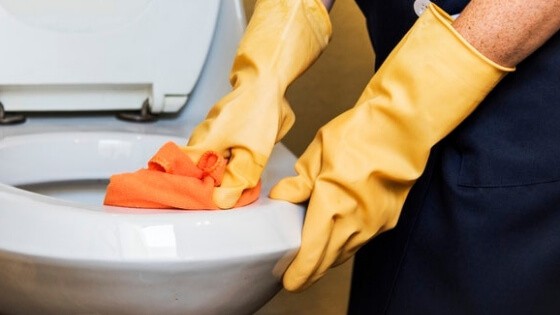 The Ultimate Christmas Cleaning Checklist- How To Clean For The Holidays- Clean the Toilet