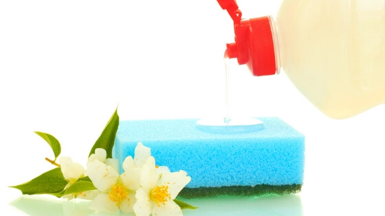 Try using environmentally-friendly dish soap from Puracy.