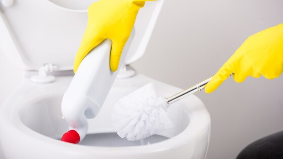 Remove toilet bowl stains by scrubbing with a toilet bowl cleaner brush.